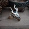 Кольцо «Дракон Алдуин»